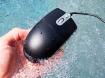 Souris M12-B IP66