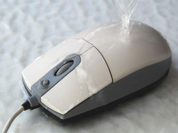 Souris M12-G IP66